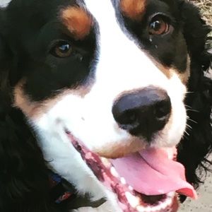 Meet your Posher, Kate